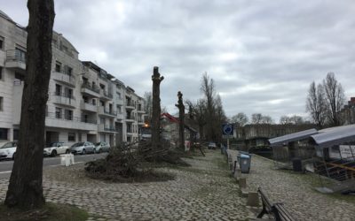 Abattage des arbres du quai Henri Barbusse, le 14 janvier 2019